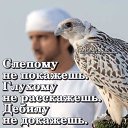 ���� ������, ������, 46 ��� - ��������� 24 ��� 2024