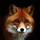 ���� ������, ������������, 47 ��� - ��������� 26 ����� 2024 � ������ ���� ����������