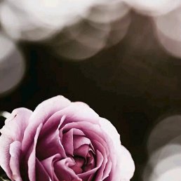 ���� ������, ������, 26 ��� - ��������� 29 ������ 2025