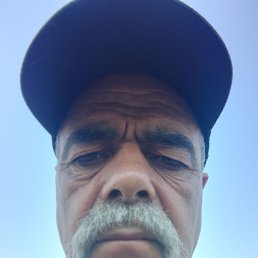  , , 68  -  31  2024