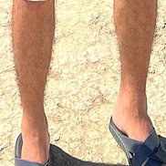 , 33 , 