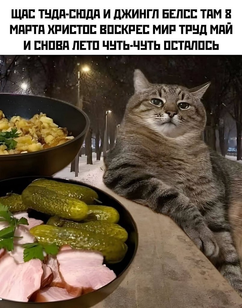  ... - 5  2025  07:30