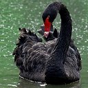 ���� ����������, ������, 47 ��� - ��������� 25 ������ 2024