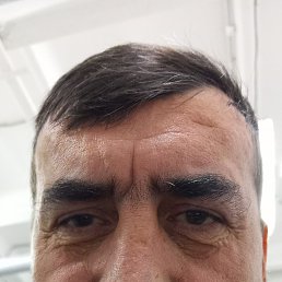 , 54 , 