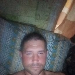 , 37, 