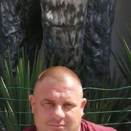 , 40, 