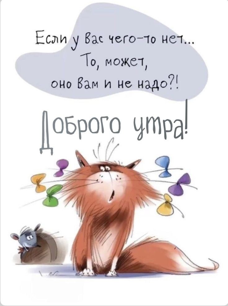   ,    . - 28  2025  06:37