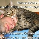 ���� ������, �����������, 37 ��� - ��������� 16 ������ 2026 � ������ ������ ��������