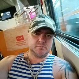 ���� ����, ������, 41 ��� - ��������� 14 ���� 2026