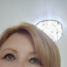 , 44, 