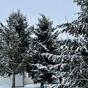 ���� ������ ., ������� - ��������� 25 ������ 2026 � ������ ���� ����������