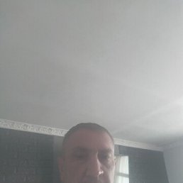 , 45, 