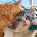 ���� ���������, ������������, 47 ��� - ��������� 17 ������� 2024 � ������ ���� ����������