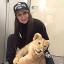 ���� �����, ���������, 43 ���� - ��������� 30 ������� 2024 � ������ ���� ����������