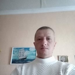 ���� �����, �������������, 46 ��� - ��������� 24 ������ 2026