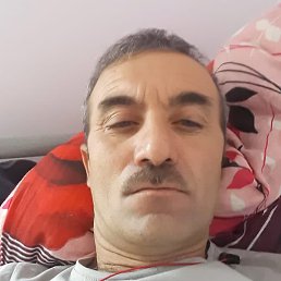 ����, �������, 48 ���