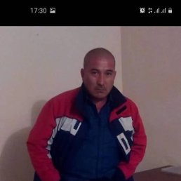 , 48, 