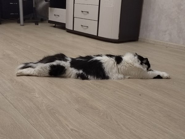   -    => - 3