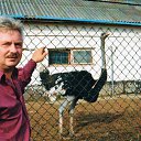 ���������� ����� �� ������� ���� ����������