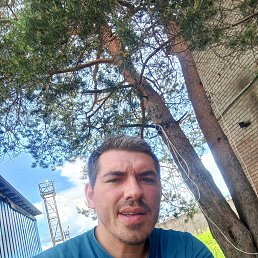 ���� �����, ������, 33 ���� - ��������� 12 �������� 2024