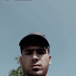 , 26, 
