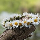 ���� �������, ���������� - ��������� 16 ���� 2026 � ������ ������ ��������