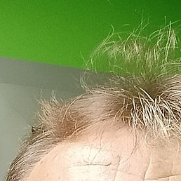 ���������, �����-���������, 49 ���