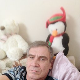 ������, 46 ���, ������