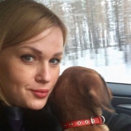 ���� �����, �����-���������, 38 ��� - ��������� 6 ������ 2026