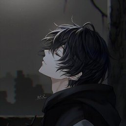 ˸��, �����������, 26 ���