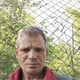 , 53, 