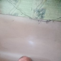 �������, ������, 66 ���