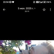 ������, 27 ���, �����