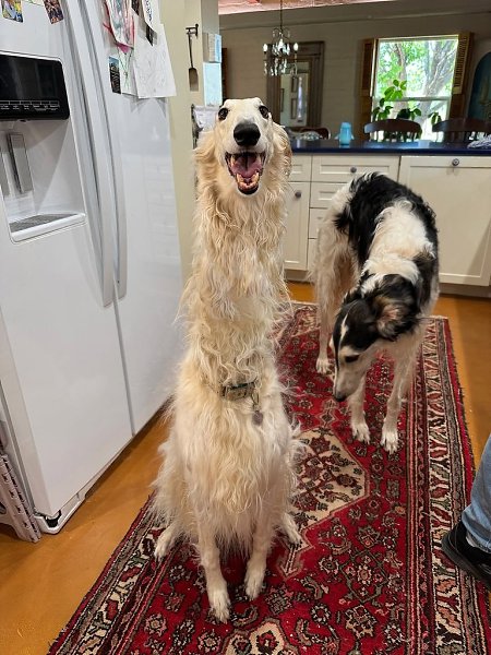  .   ,  -  .  .     . - 6