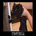 ���� ������, ������ - ��������� 2 ������ 2026 � ������ ���� ����������