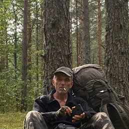 , 54, 