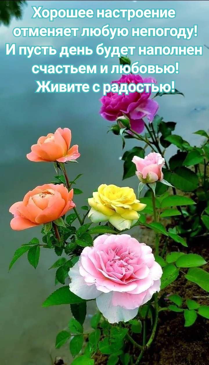 ������ - 12 ������� 2025 � 12:58