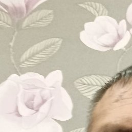 , , 48 