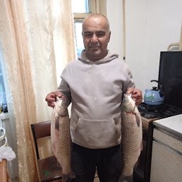 ���� �����, ������, 48 ��� - ��������� 2 ������ 2026