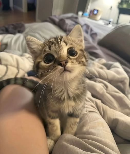  :  ,   ,   