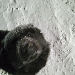 ����, ������, 45 ���