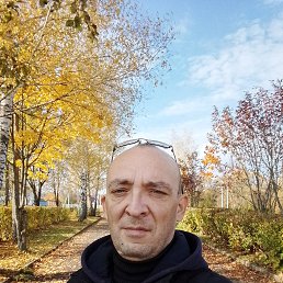 ������, 39 ���, �������