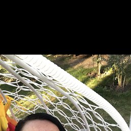 ���� Lili, ������������ - ��������� 4 ������ 2025