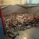 ���� ������, �����, 62 ���� - ��������� 10 ������ 2026