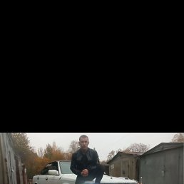 ����, �����, 41 ���