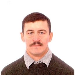 , 59, 