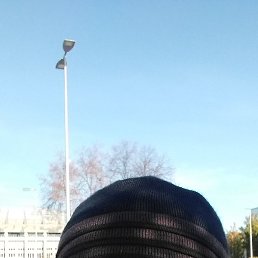 �����, �������, 44 ����