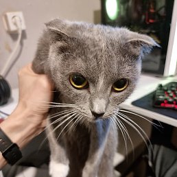 Spichka, ������, 18 ���