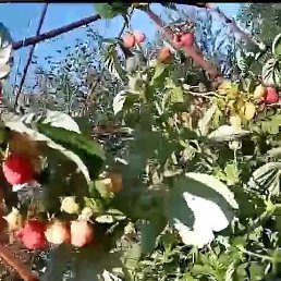 ���� ����, �������, 27 ��� - ��������� 8 ������ 2024