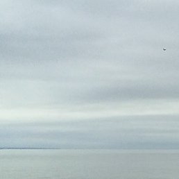 ������, ����, 38 ���